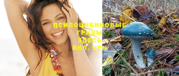 мет Нефтегорск