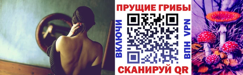 купить закладку  kraken ССЫЛКА  Галлюциногенные грибы Psilocybe  Малаховка 